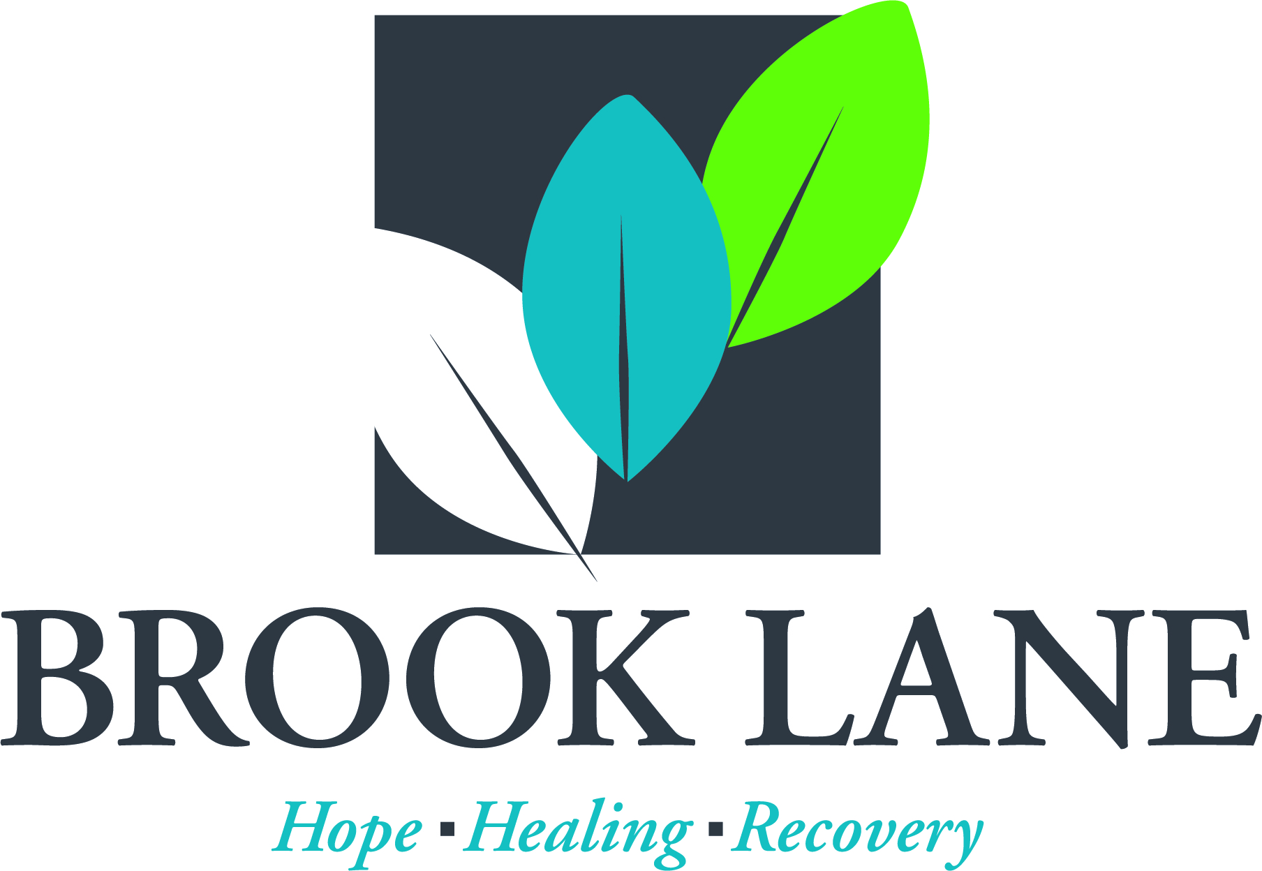 Logo for Brook lane